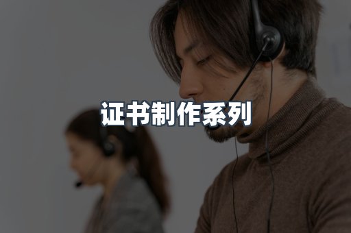 证书制作系列